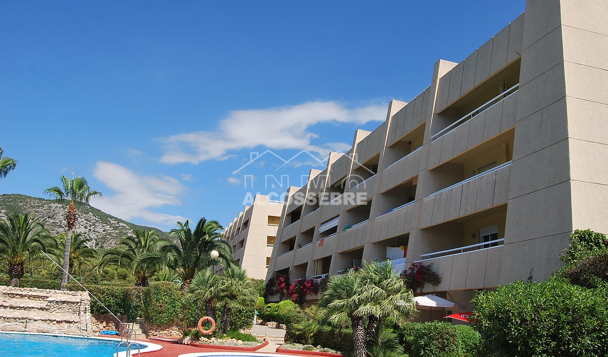 DSC_0508 – copia
